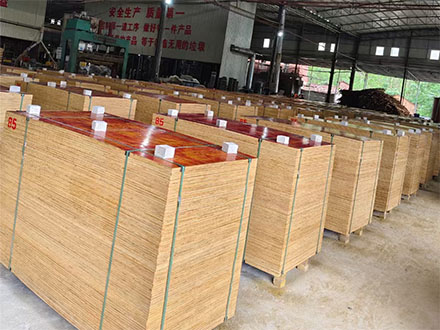 广西建筑模板厂：于变局中开新局